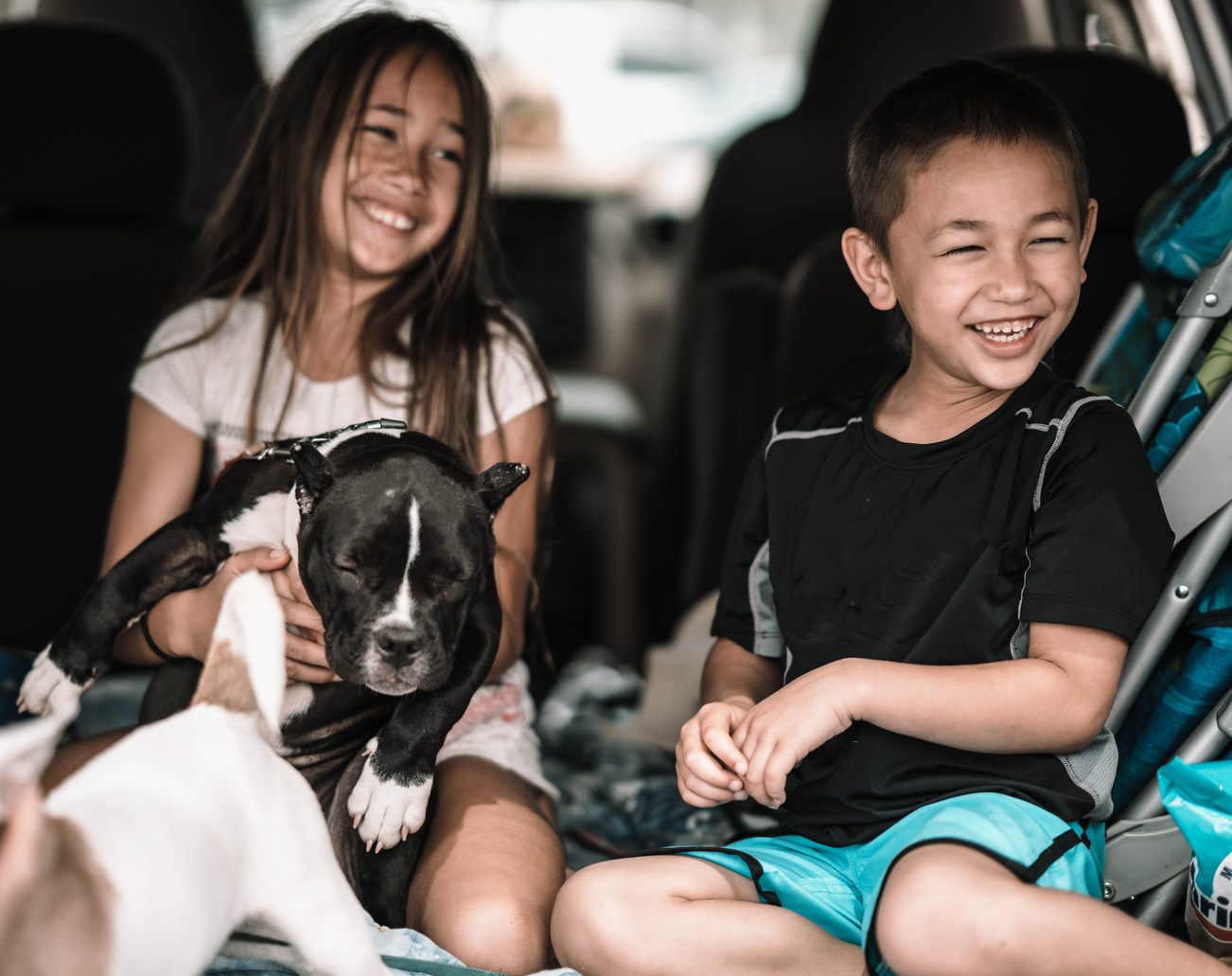 Portrait of Happy kids with Dog in the Car